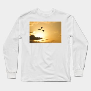 Flight of the Ibis Long Sleeve T-Shirt